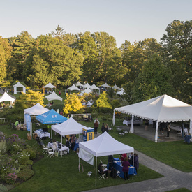 Masquerade for Mental Health