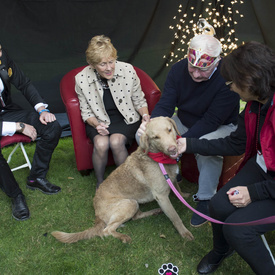 Masquerade for Mental Health