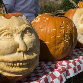 Savour Fall