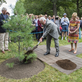 Ceremonial Tree Planting 
