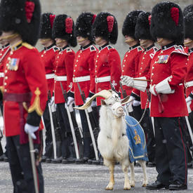 Official Visit to the City of Québec - Day 2