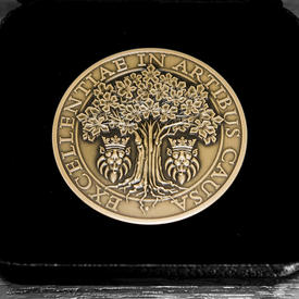 Awards in Visual and Media Arts