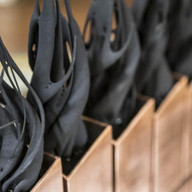 Governor General's Innovation Awards Ceremony