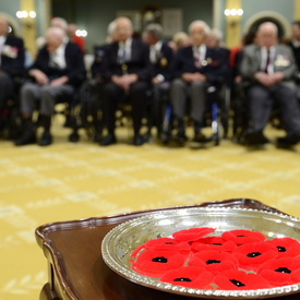 2016 National Poppy Campaign