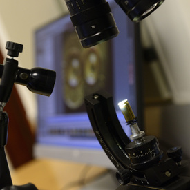 Visit to the West Bank - Day 1