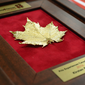 Prix d'histoire du gouverneur général de 2016