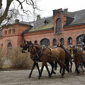 State Visit to Sweden - Day 1