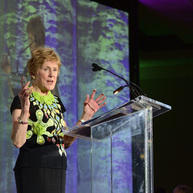 The 2017 Royal Inspiration 14th Annual Awards Gala