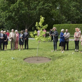 Ceremonial Planting of the Regal Celebration Maple Tree 