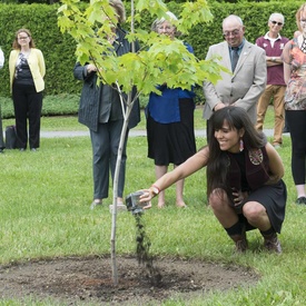 Ceremonial Planting of the Regal Celebration Maple Tree 