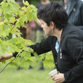 Ceremonial Planting of the Regal Celebration Maple Tree 