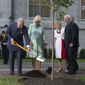 Cérémonie de plantation d’arbre et inauguration de l’entrée de la Reine