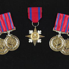 Presentation of Decorations of Bravery