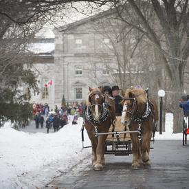 Winter Celebration 2018
