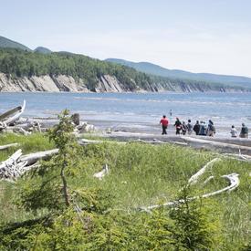 Visit to the Gaspé Peninsula - Day 3