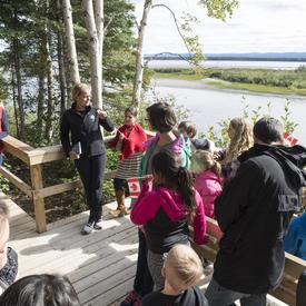 The Birch Island Boardwalk was built in partnership with the city of Happy Valley-Goose Bay and a not-for-profit organization called Healthy Waters Labrador.