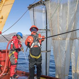 Son Excellence a aidé l'équipe de scientifiques à nettoyer les filets utilisés pour recueillir des échantillons.