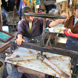 His Excellency Jean-Daniel Lafond visits the Taller de Lenateros