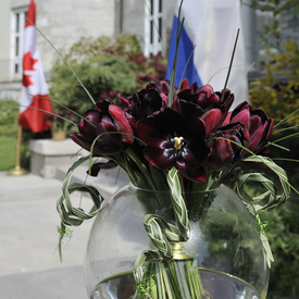 Visit of Her Royal Highness Princess Margriet of the Netherlands