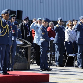 70th Anniversary Battle of Britain Ceremony