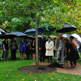 Tree Planting Ceremony at Rideau Hall