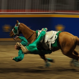 Royal Agricultural Winter Fair