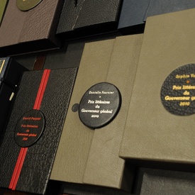 2010 Governor General's Literary Awards