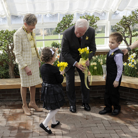 Daffodil Campaign 2012