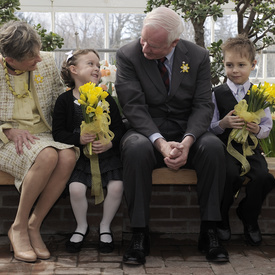 Daffodil Campaign 2012