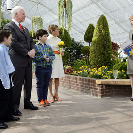Début de la campagne de la jonquille pour 2013
