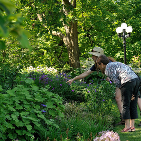 Garden Gathering at Rideau Hall