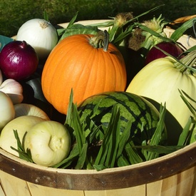 Savour Fall at Rideau Hall