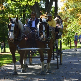 Savour Fall at Rideau Hall