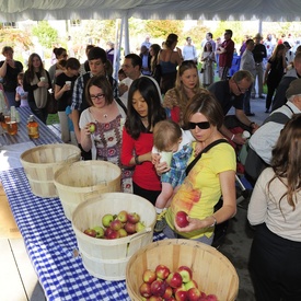 Savour Fall at Rideau Hall