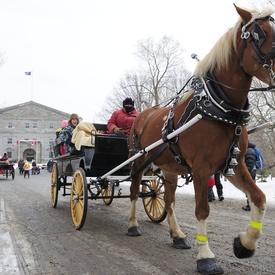 Célébration hivernale à Rideau Hall