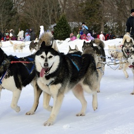 Célébration hivernale à Rideau Hall