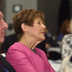 Canadian Depression Research and Intervention Network Conference 