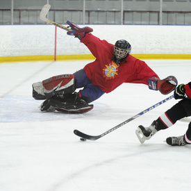 Partie de hockey amicale