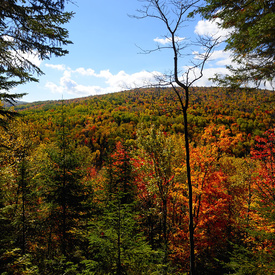 Visite à la Citadelle de Québec - Jour 4