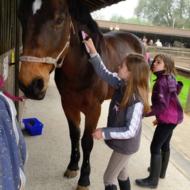 Visite officielle en Belgique - Jour 2