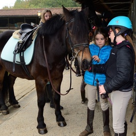 Visite officielle en Belgique - Jour 2