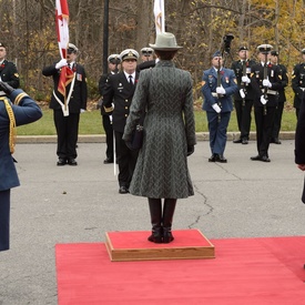 2014 Royal Tour - The Princess Royal