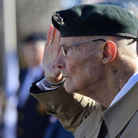 Jour du Souvenir - Tournée royale 2014