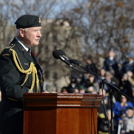 Jour du Souvenir - Tournée royale 2014