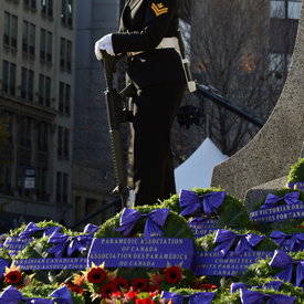 Jour du Souvenir - Tournée royale 2014