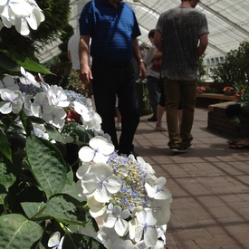 Garden Gathering at Rideau Hall