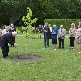 Ceremonial Planting of the Regal Celebration Maple Tree 