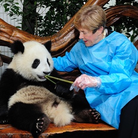 State Visit to China - Day 6