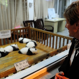 State Visit to China - Day 6