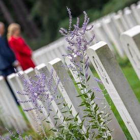 The Governor General walking through the Bergen-op-Zoom Canadian War Cemetery.